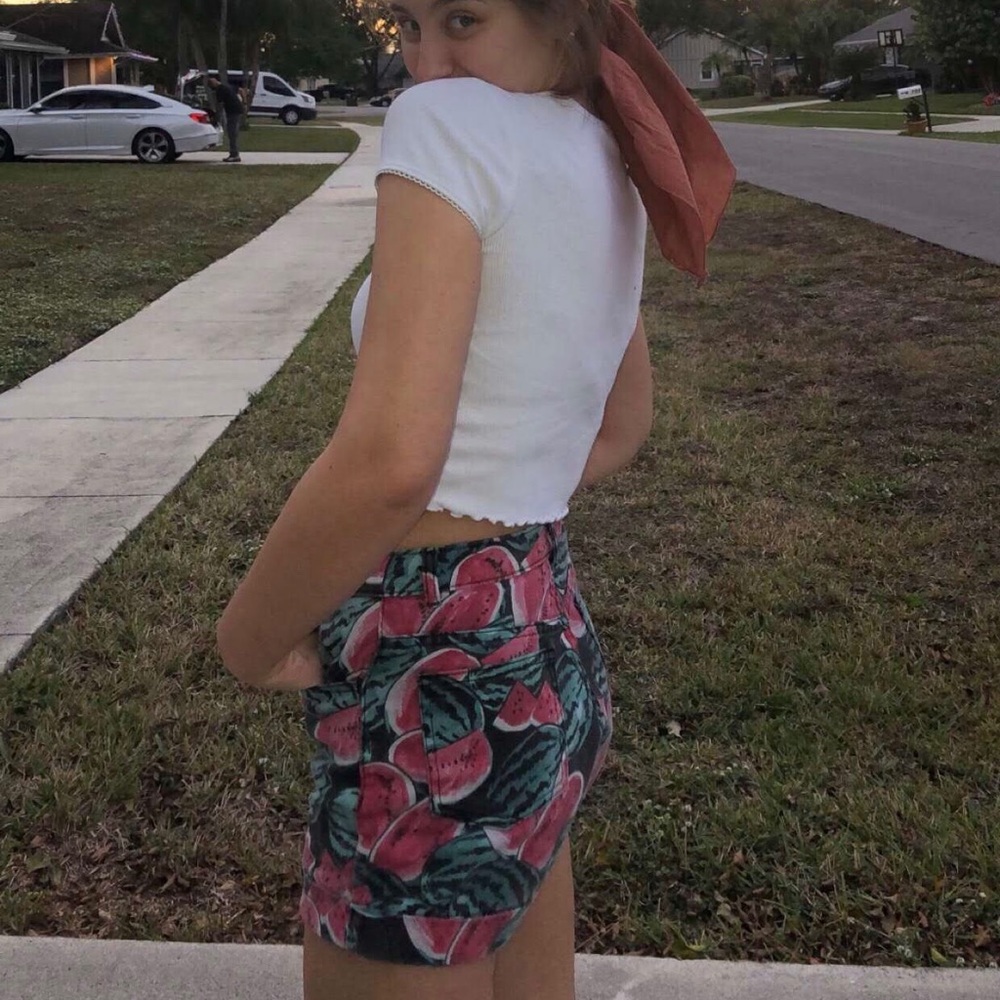 American Apparel Watermelon Shorts